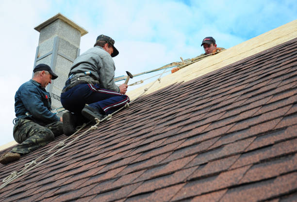 Quick and Trustworthy Emergency Roof Repair Services in Evanston, IL